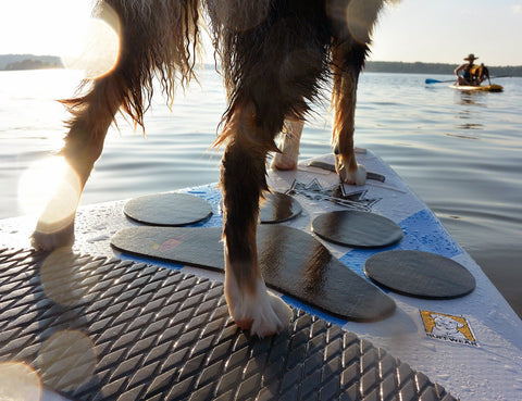 Pup Deck Paw Print Pads